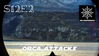The Quarter Deck Podcast S12E2 – Orca Attacks