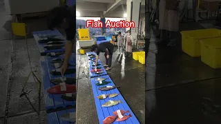 Radio Taiso and the Fishermen — The Art of Community at Dawn #boatlife  #JapanLife #writerslife