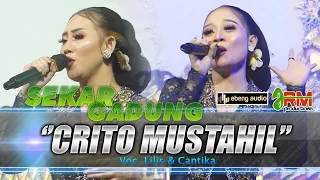 Download Duo Mringkil Campursari Sekar Gadung Ki Dalang Minto Darsono - Crito Mustahil Voc. Lilis \u0026 Chantika MP3