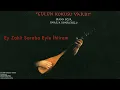 Erkan Oğur & İsmail Hakkı Demircioğlu - Ey Zahit I Gülün Kokusu Vardı © 1996 Kalan Müzik