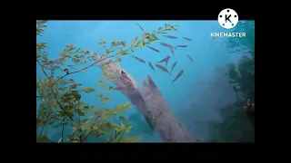 انشودة يا سيدي انا غراس يديك 