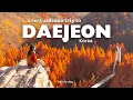 Autumn getaway to Daejeon, Korea 🍂| Autumn leaves at Jangtaesan Forest, Cafes \u0026 Bakeries 