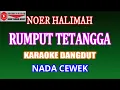 Download Lagu KARAOKE DANGDUT RUMPUT TETANGGA - NOER HALIMAH (COVER) NADA CEWEK