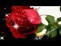 Animated rose