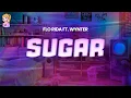 Download Lagu Flo Rida ft. Wynter - Sugar // Lyrics