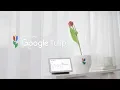 Video di Introducing Google Tulip