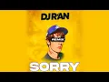 Download Lagu JUSTIN BIEBER \u0026 DJ R'AN - SORRY (REMIX)