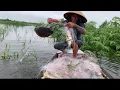Download Lagu The rainy season has come, determined to bring nets to the big river to catch a giant school of f...