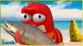 LARVA CHIẾN LỢI PHẨM - ẤU TRÙNG TINH NGHỊCH - PHIM HOẠT HÌNH LARVA MỚI NHẤT 2025