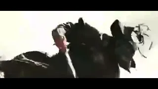 قصص الصحابة مع الجهاد 