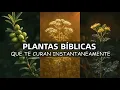 Channel