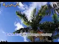 Download Lagu Pohon Beringin Bawang putih Bawang Merah Karaoke Lyric