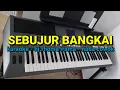 Download Lagu DANGDUT KARAOKE //sebujur bangkai// NADA cowok //hj.rhoma irama// by jampangpbg //psr670