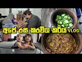 Lagu අපේ රස කරවිල කරිය | VLOG