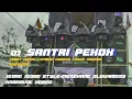 DJ SANTRI PEKOK X MELODI TROMPET NGESLOW •KARNAVAL HOREG