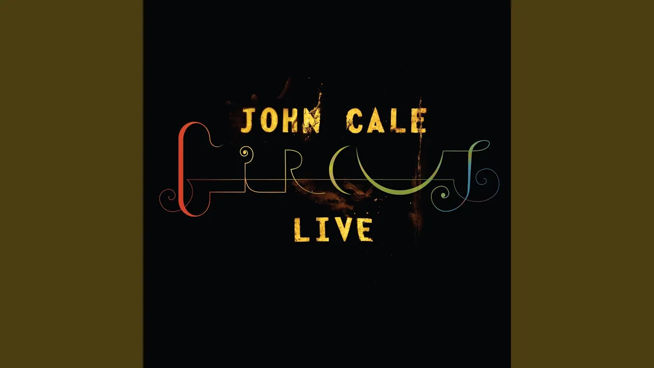 Venus In Furs (Live)