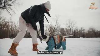 Farmers Almanac Winter Weather Forecast 2025 - 2026