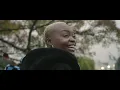 Pongo - Wegue Wegue