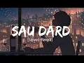 Download Lagu Sau Dard [Slowed+Reverb] Salman Khan+Akshay Kumar - Musical Reverb