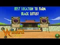 Wizard101 The BEST Location to Farm Black Lotus