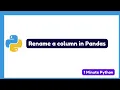 How to Rename a Column in Pandas Python
