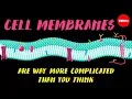 Cell membranes are way more complicated than you think - Nazzy Pakpour