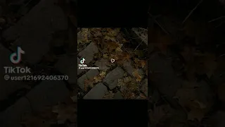 نغمة طوق البنات  نغمة طوق البنات