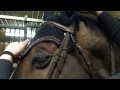 Download Lagu Barn Vlog: Saddle fitting with Butet Saddles Canada