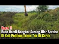 Download Lagu Ngeri‼️Babe Romli Mulai Bongkar Sarang Ular Berbisa Di Kali Puluhan Tahun Tak Di Keruk
