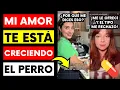 Download Lagu What's Happening to Men? They Don't Want to Hook Up Anymore 💊 | I'm Stoic