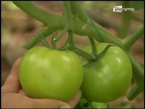 Ecuador Agropecuario 01-02-2018