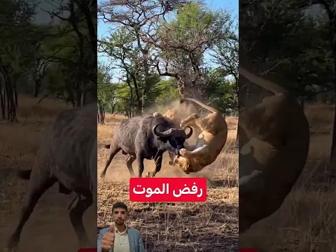 غضب العملاق: اللحظة التي رفض فيها الموت #shorts