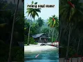 Download Lagu 🎹 Relaxing Soft Piano Music 🌿 Natural Stress Relief \u0026 Nerve Healing Therapy #sleepambience #shorts