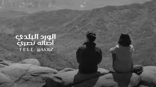 اصاله نصري   الورد البلدي   بطيء دندنها