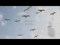 Franco Robert - We Can Fly