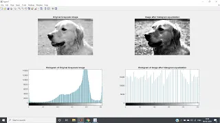 Histogram Equalization on GrayScale Image MATLAB