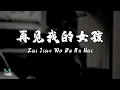 Download Lagu Smoke 烟 (许佳豪) – Zai Jian Wo De Nu Hai (再见我的女孩) Lyrics 歌词 Pinyin/English Translation (動態歌詞)
