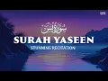 SURAH YASIN  سورة يس  (Yaseen) | Omar Hisham | Full Stunning recitation | Be Heaven 2.0