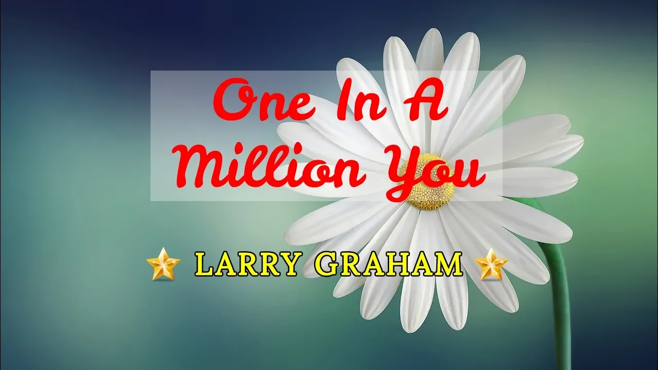 One In A Million You - LARRY GRAHAM Karaoke HD One In A Million You - LARRY GRAHAM Karaoke HD