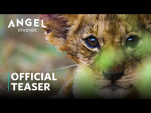 The Riot And The Dance: Season 1 | Official Teaser | Angel Studios