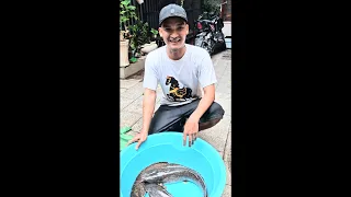 Đi nhấc Lờ giữa lòng Sài Gòn được quá trời cá bà con cô bác ơi | Mạc Văn Khoa 