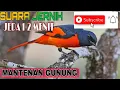 MASTERAN MURAI BATU SUARA MANTENAN GUNUNG JEDA 1-2 MENIT