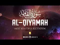 Download Lagu Emotional Quran recitation | Surah Al-Qiyamah (سورة القيامة) ⋮ Zikrullah TV