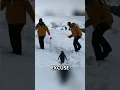 Download Lagu The Unexpected Penguin Moment 😱 #penguin #unexpected #fact #shorts