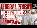 MS-13 Surenos Tango s Federal Prison Lockdowns Gangs JimmyTheCrease71