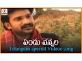 Download Lagu Pandu Vennela Palle Telugu Video Song | Telangana Janapada Geethalu | Lalitha Audios And Videos