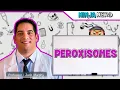 Peroxisomes Structure Function