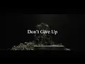 Download Lagu Ursine Vulpine \u0026 Annaca - Don't Give Up (Lyric Visualizer)