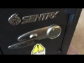 Sentry Safe T8-331