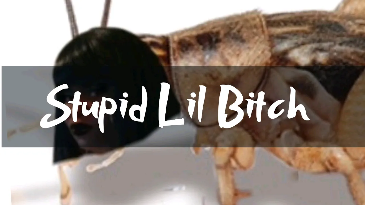 Shaneika Marie - Stupid lil bitch (audio)